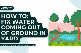 Water coming out of ground in yard