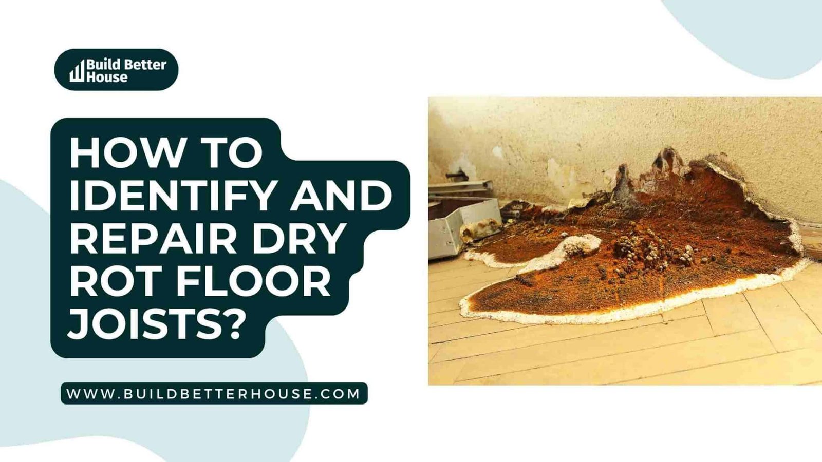 How To Identify And Repair Dry Rot Floor Joists? Build Better House