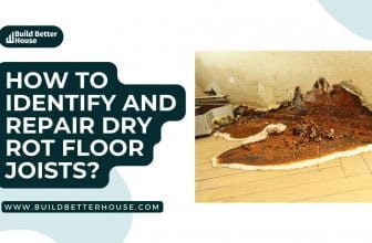 dry rot floor joists