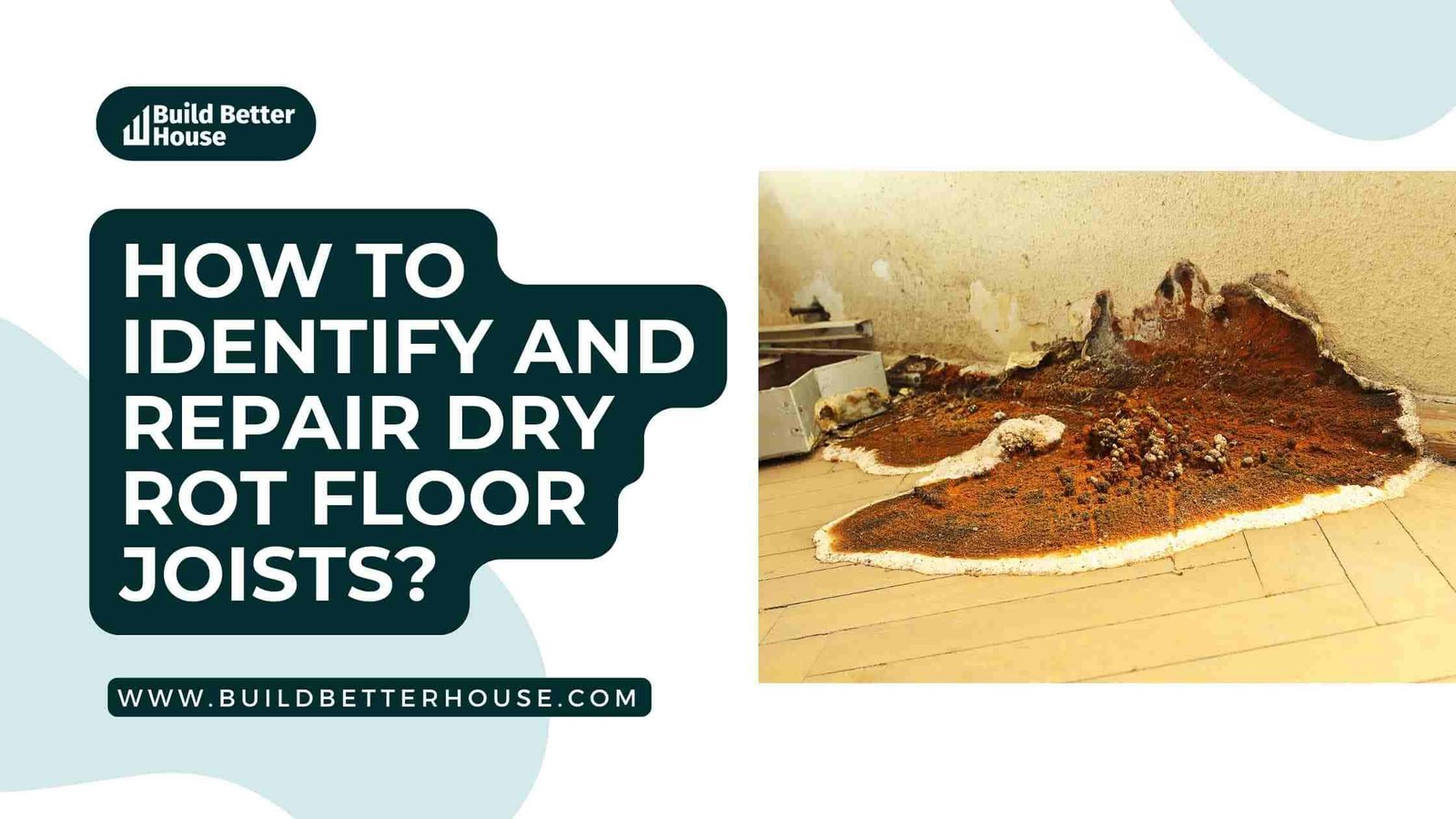 How To Identify And Repair Dry Rot Floor Joists Build Better House   BBH Blog Banner 45 