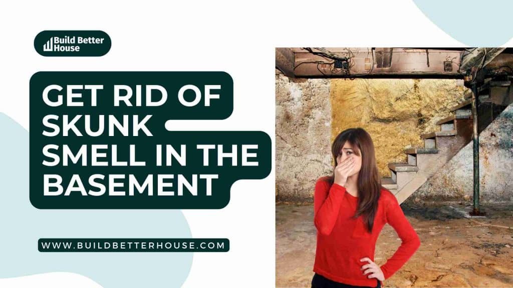 Get Rid of Skunk Smell in the Basement 4 DIY Solutions You Need to