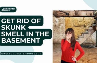 Skunk smell in the basement