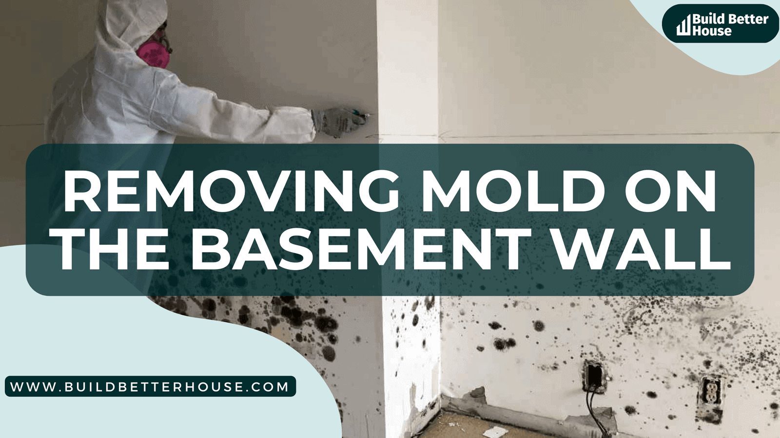 mold on the basement wall