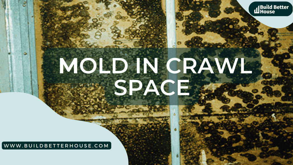 9 Easy Prevention Tips To Fix Mold In Crawl Space - Build Better House