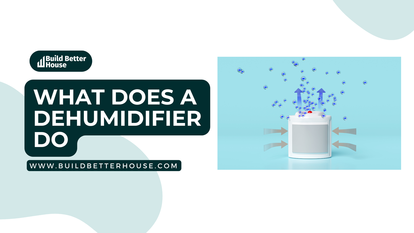 What Does a Dehumidifier Do