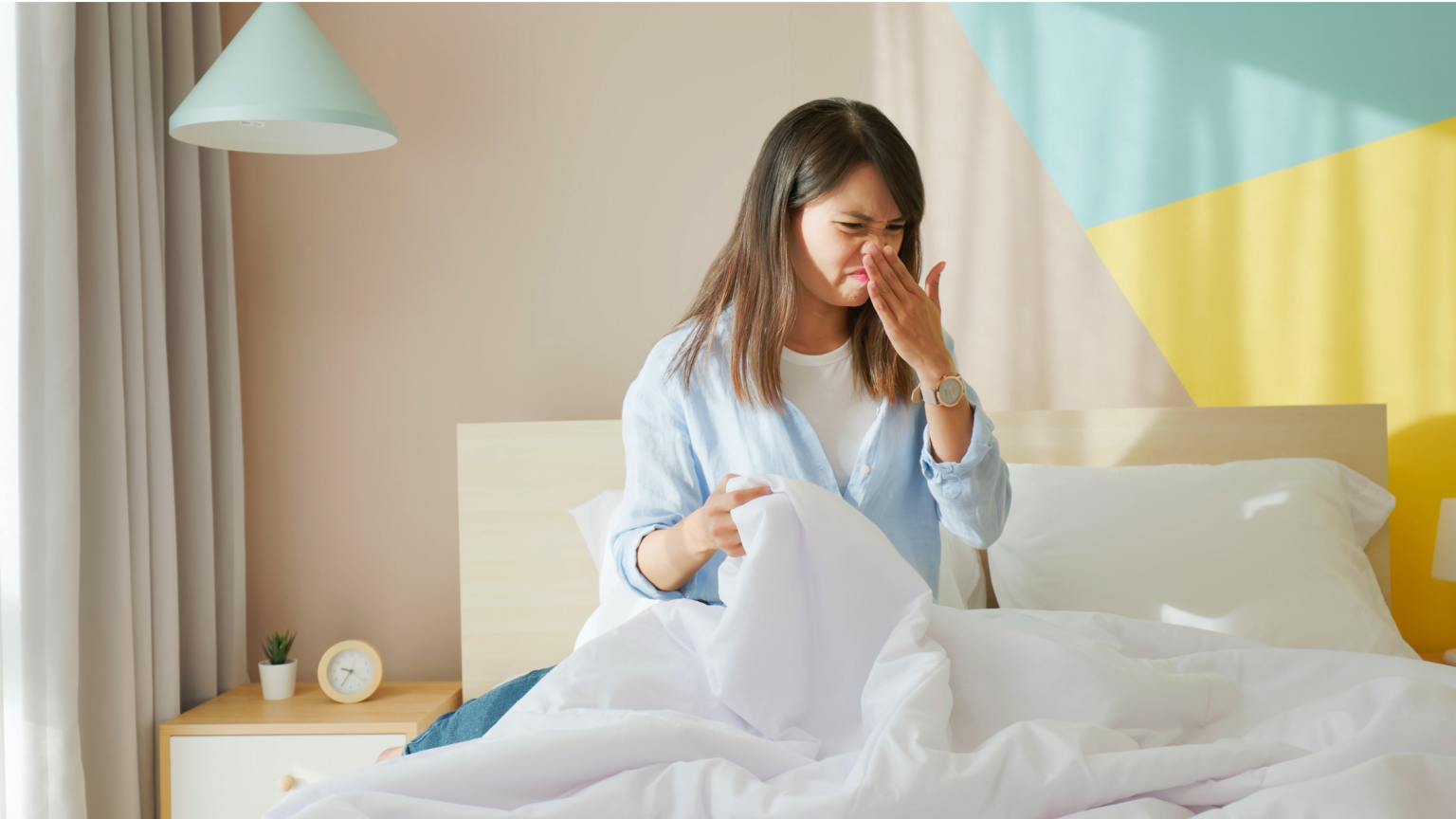 Mold Mites Essential Facts and Prevention Tips Build Better House