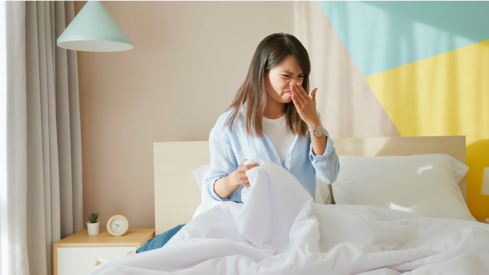 Mold Mites Essential Facts and Prevention Tips Build Better House