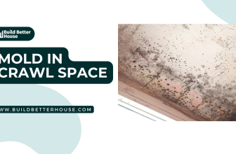 Mold in Crawl Space