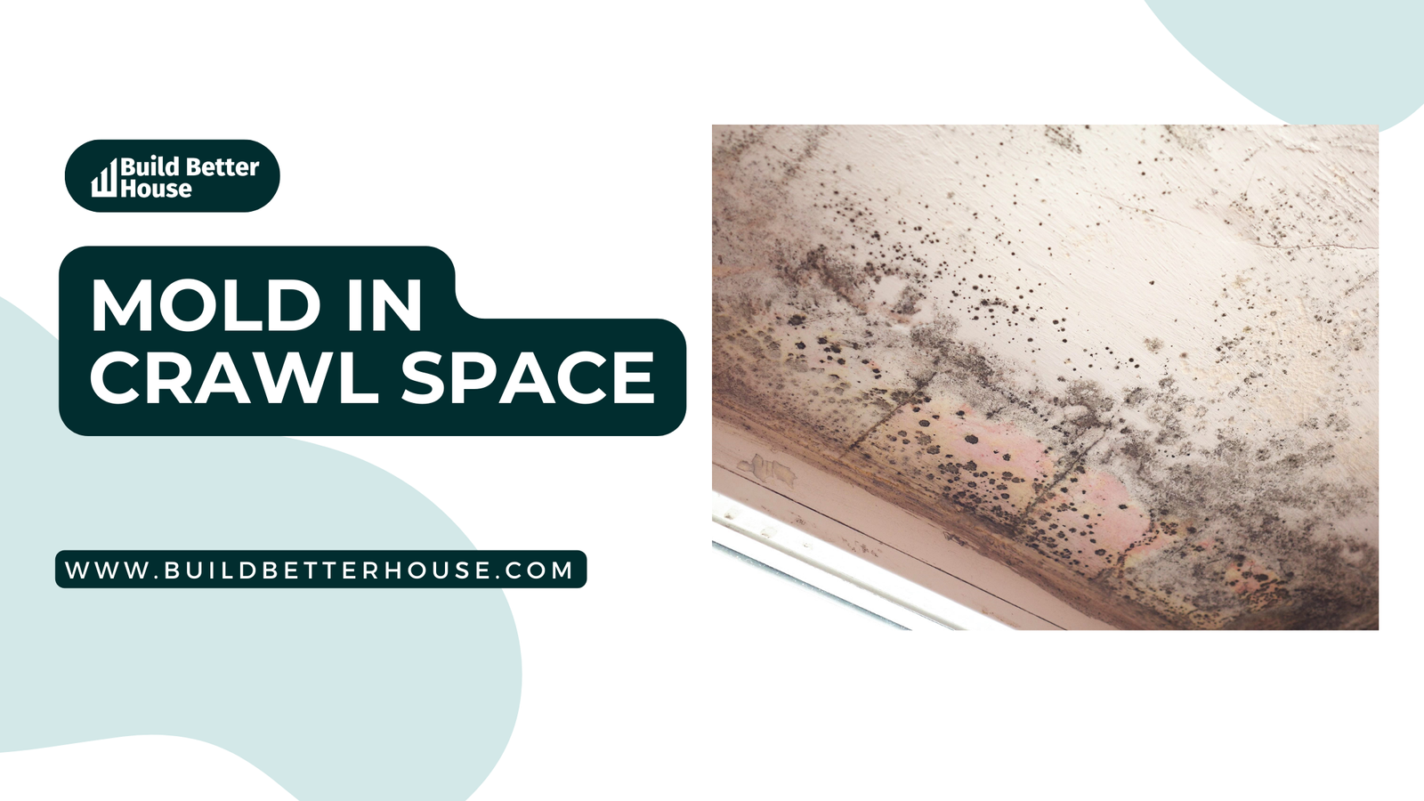 Mold In Crawl Space Effective Solutions And Prevention Tips Build   BBH Blog Banner 3 1 