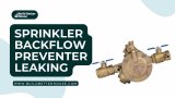 Sprinkler Backflow Preventer Leaking: How To Fix?