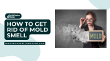 How to Get Rid of Mold Smell: Expert Tips for a Fresh Home