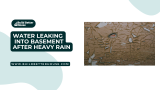 Water Leaking into Basement After Heavy Rain: Effective Solutions