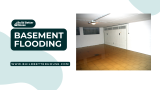 Basement Flooding: Prevention, Causes, and Solutions