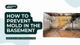 Important Tips On How To Prevent Mold in The Basement