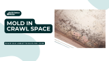 Mold in Crawl Space: Effective Solutions and Prevention Tips