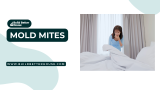 Mold Mites: Essential Facts and Prevention Tips