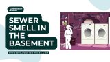 Sewer Smell In The Basement? Why It’s Happening & How To Fix It
