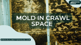 9 Easy Prevention Tips To Fix Mold In Crawl Space 