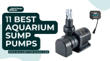 11 Best Aquarium Sump Pumps: Which One Is Best For You?