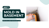 Mold in Basement: Effective Solutions for Prevention and Removal
