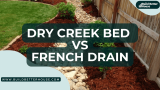 Dry Creek Bed vs French Drain: Which One Is Best For Landscaping?